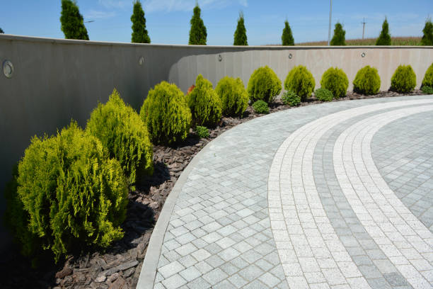 Best Local Driveway Pavers  in Groveland, FL